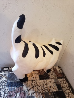 20190605_114329.jpg