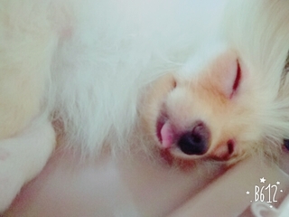 B612_20160819_154310.jpg