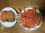 image1.JPG