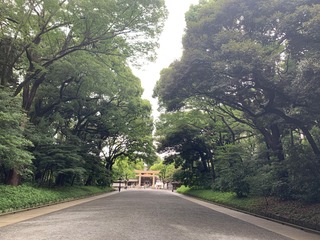 0700497B-248D-4BC9-923D-019673DA093E.jpeg
